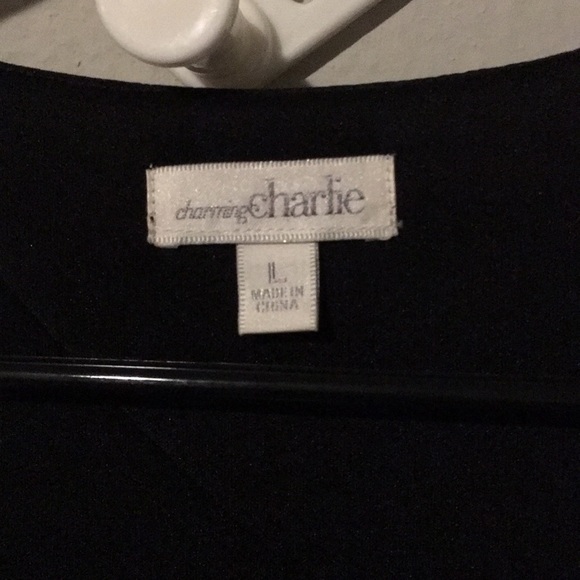 Charming Charlie’s Bird Print Dress - Picture 2 of 5